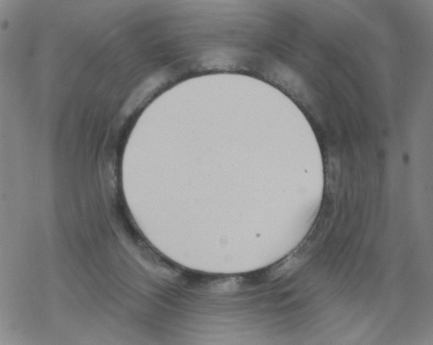 X0000067920116200605112018