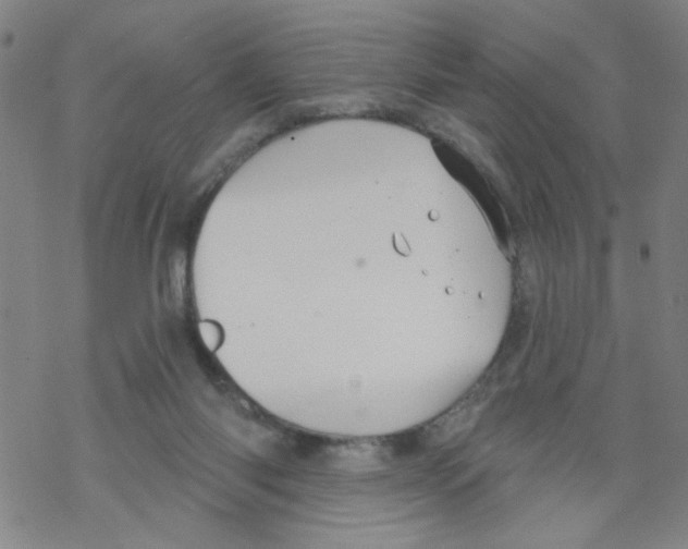 X0000067920118200605112018