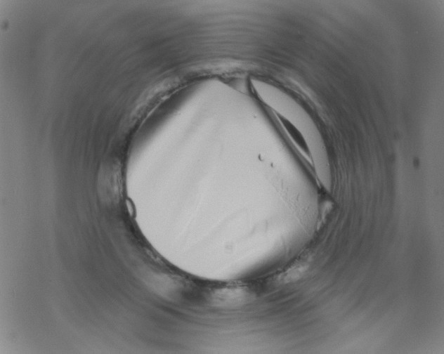 X0000067920119200605112018