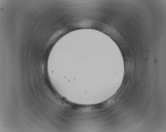 X0000067920120200605112018