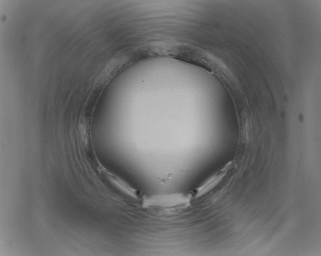 X0000067920121200605112018