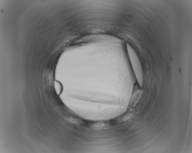 X0000067920123200605112018