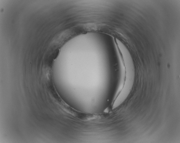 X0000067920125200605112018