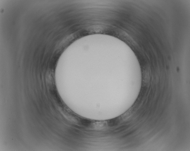 X0000067920126200605112018