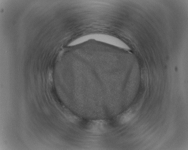 X0000067920127200605112018