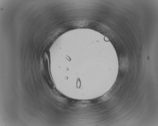 X0000067920128200605112018