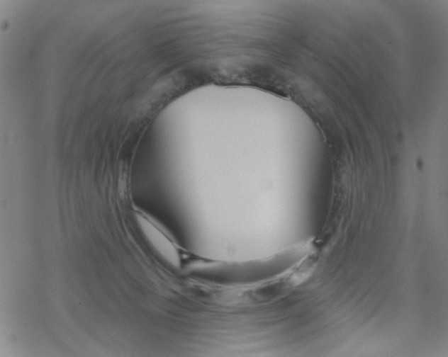 X0000067920129200605112018