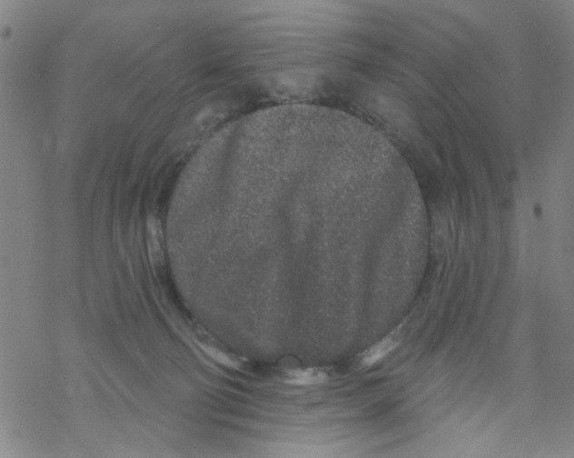 X0000067920130200605112018