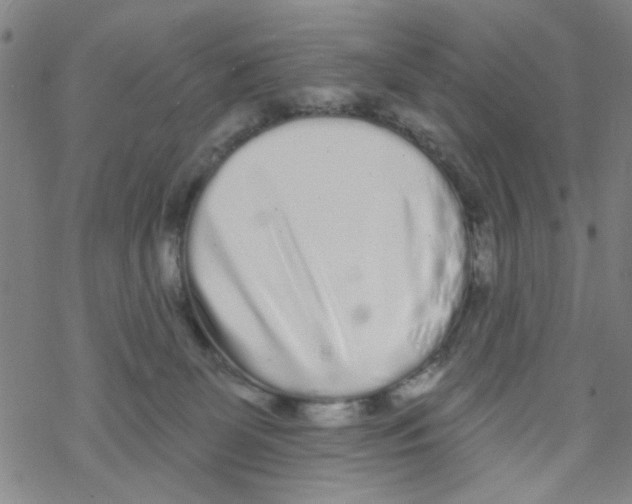 X0000067920131200605112018