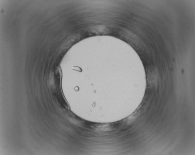 X0000067920132200605112018