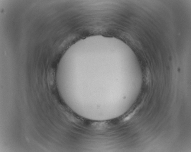 X0000067920133200605112018