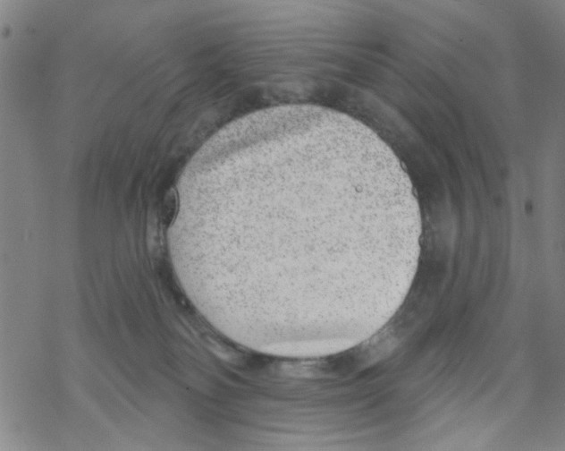 X0000067920134200605112018