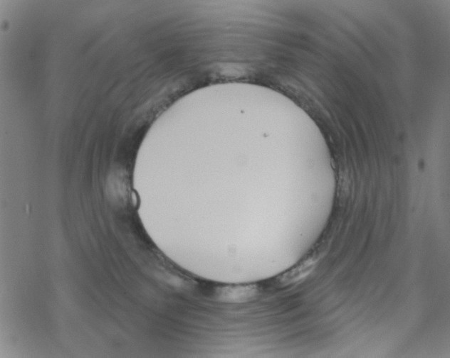 X0000067920135200605112018