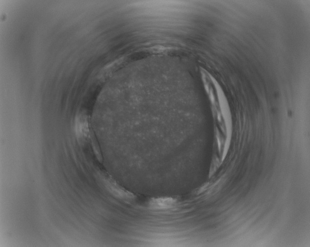 X0000067920137200605112018