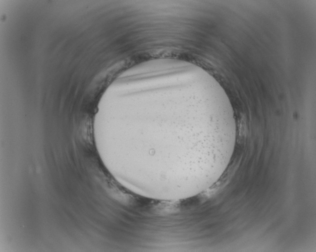 X0000067920138200605112018