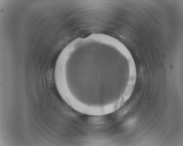 X0000067920139200605112018