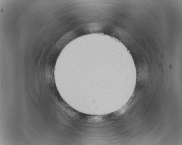 X0000067920140200605112018