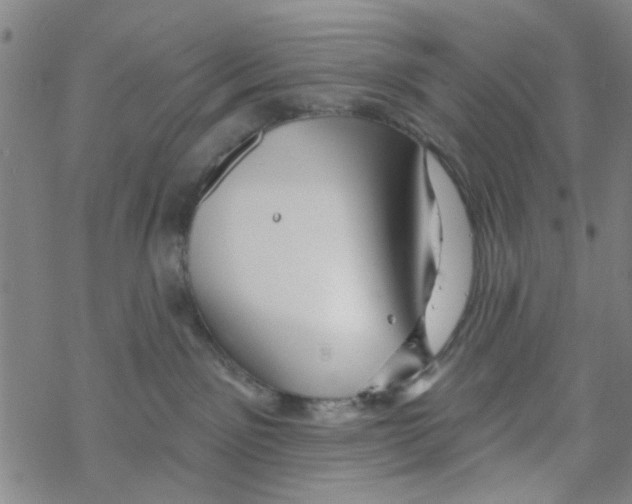 X0000067920141200605112018