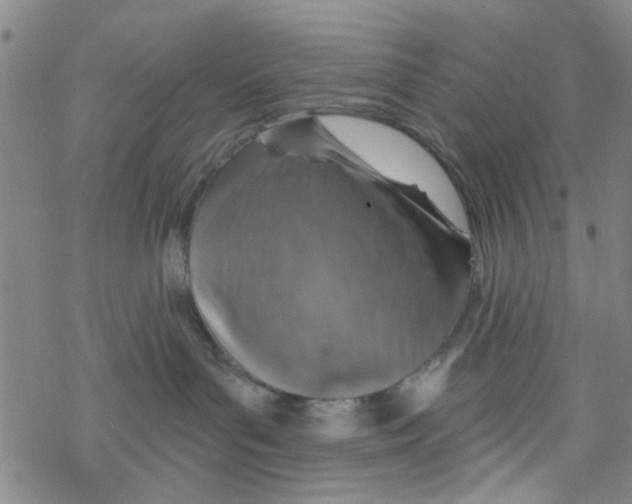 X0000067920143200605112018