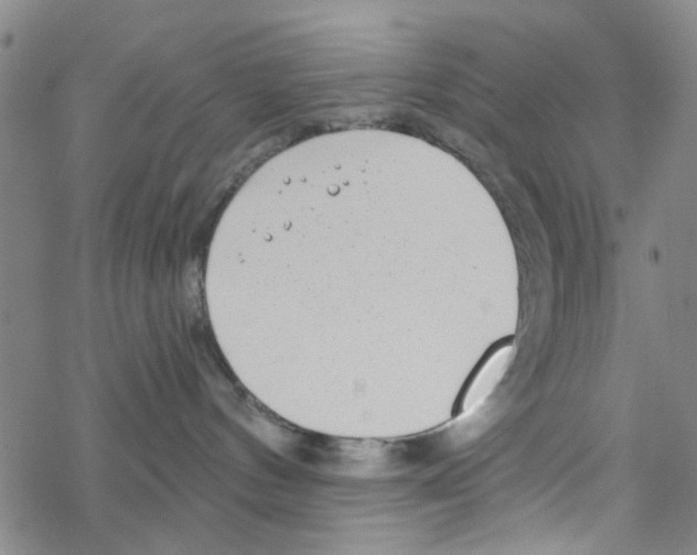 X0000067920144200605112018