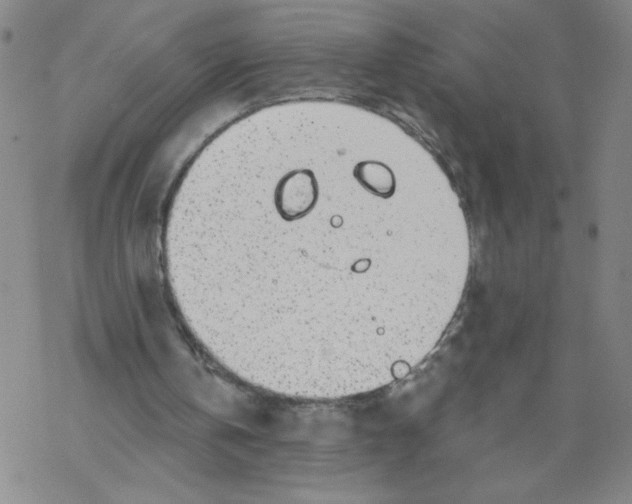 X0000067920146200605112017