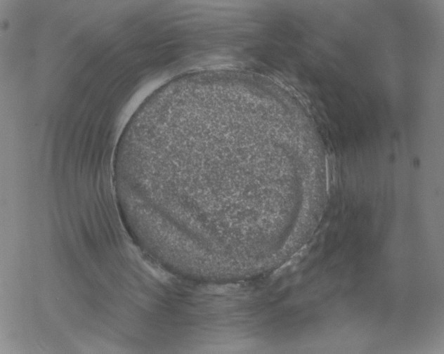 X0000067920147200605112017