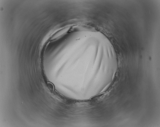 X0000067920150200605112017