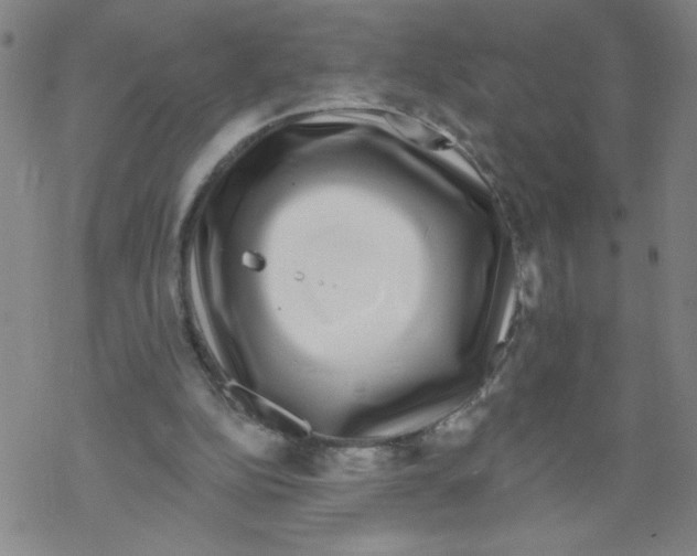 X0000067920152200605112017