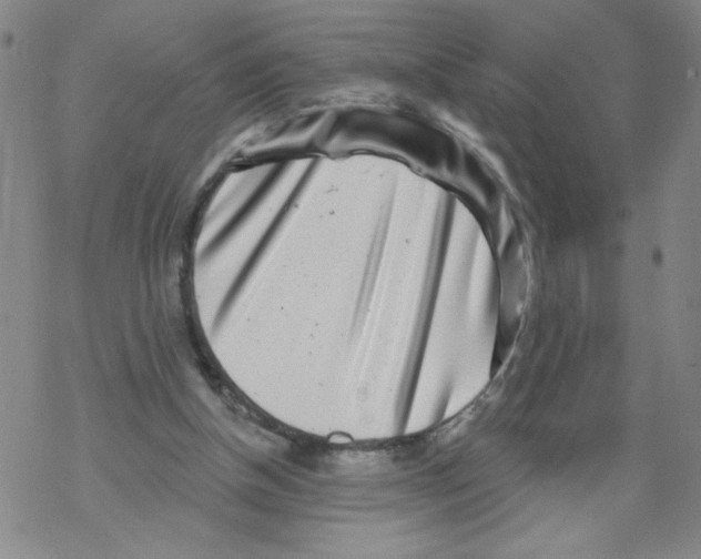 X0000067920154200605112017