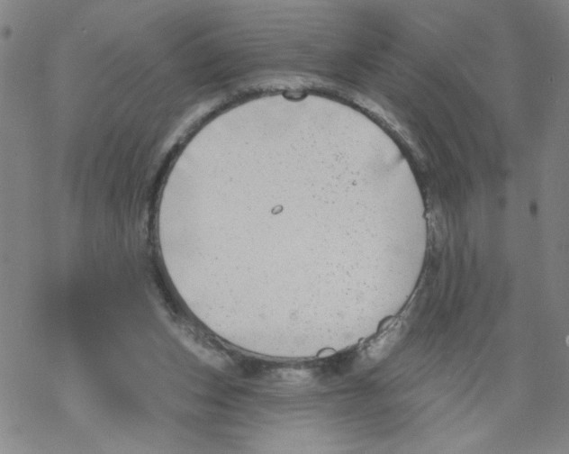 X0000067920159200605112017