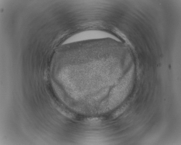 X0000067920161200605112017