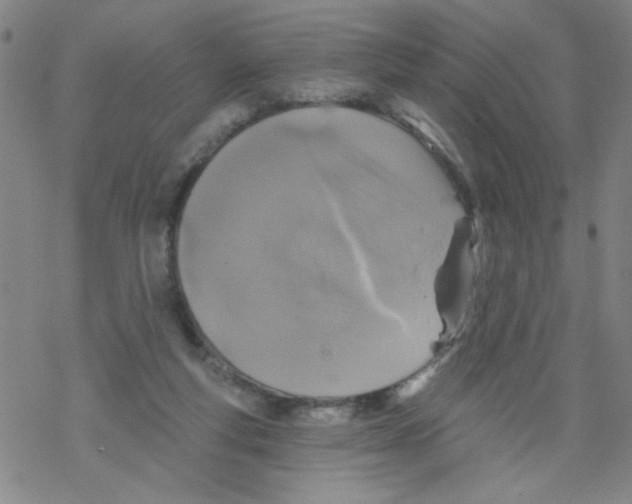 X0000067920163200605112017