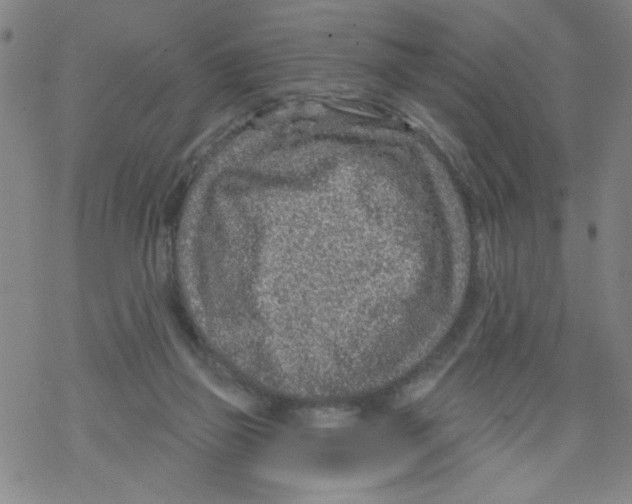 X0000067920165200605112017