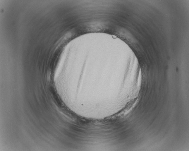 X0000067920166200605112017