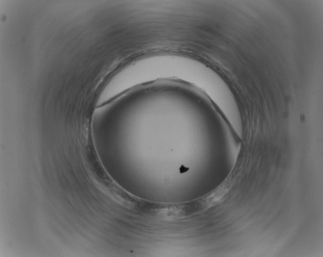 X0000067920168200605112017