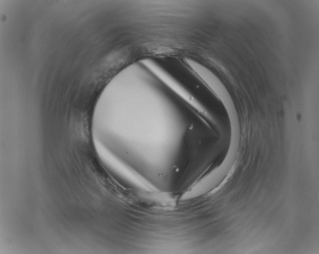 X0000067920170200605112017