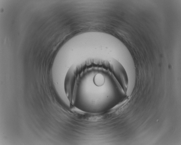 X0000067920172200605112017