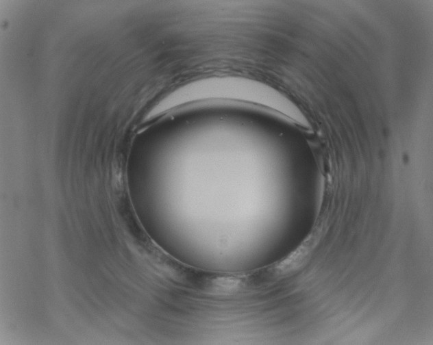 X0000067920176200605112017