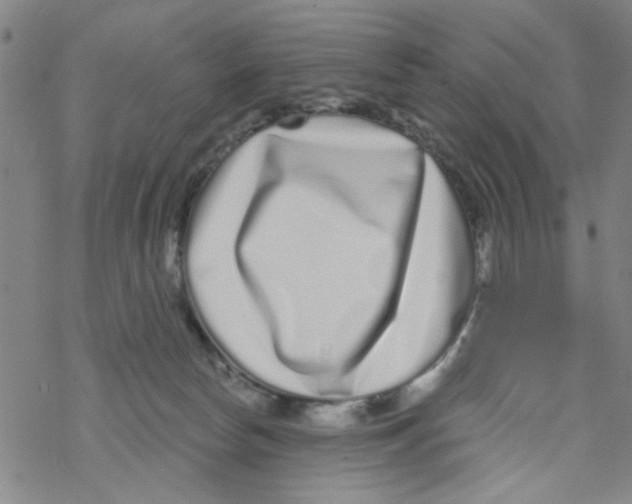 X0000067920178200605112018