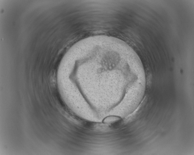 X0000067920179200605112018