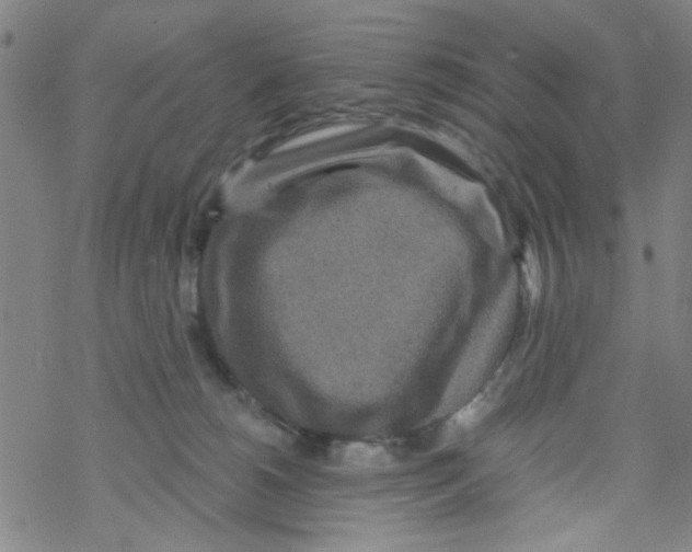 X0000067920180200605112018