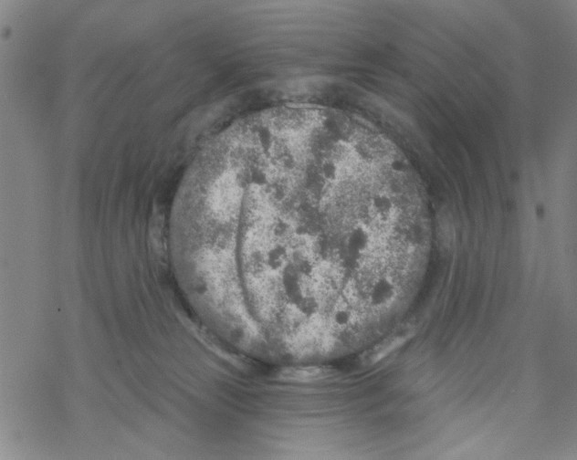 X0000067920181200605112018