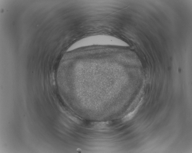 X0000067920182200605112018