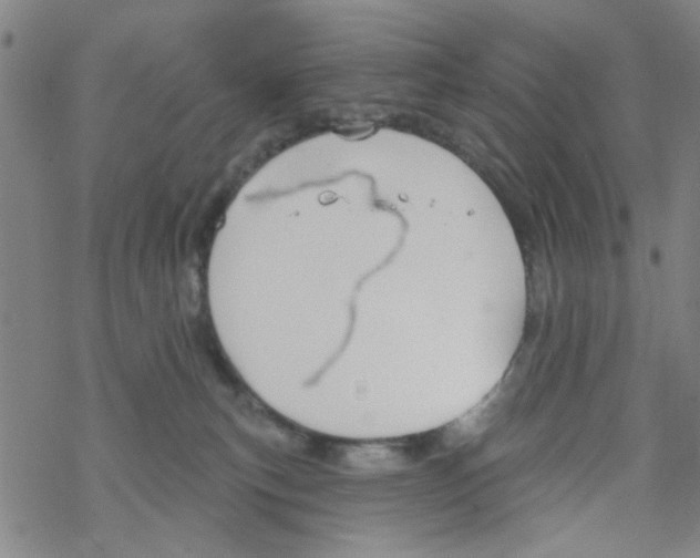 X0000067920183200605112018