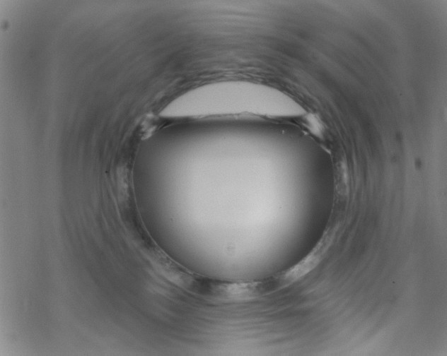 X0000067920184200605112018