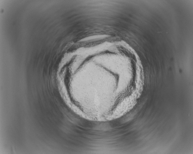 X0000067920185200605112018