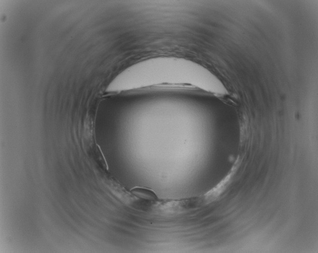 X0000067920186200605112018