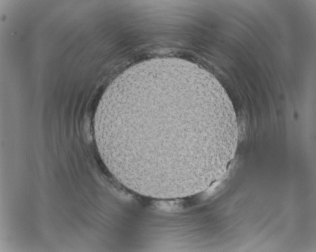 X0000067920187200605112018