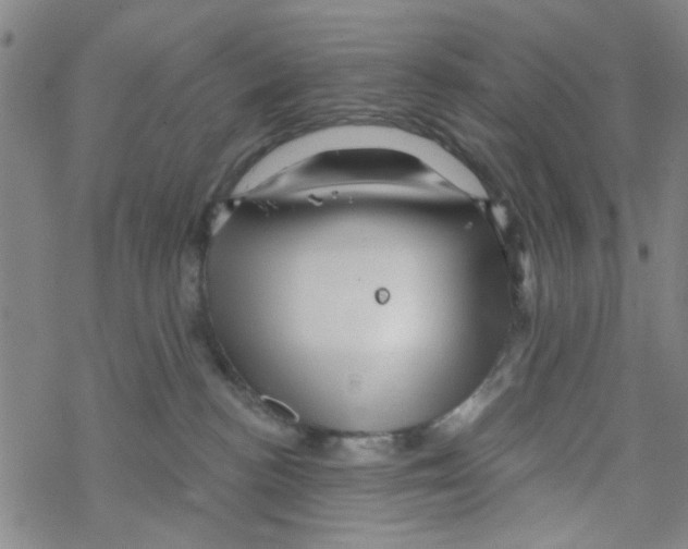 X0000067920188200605112018