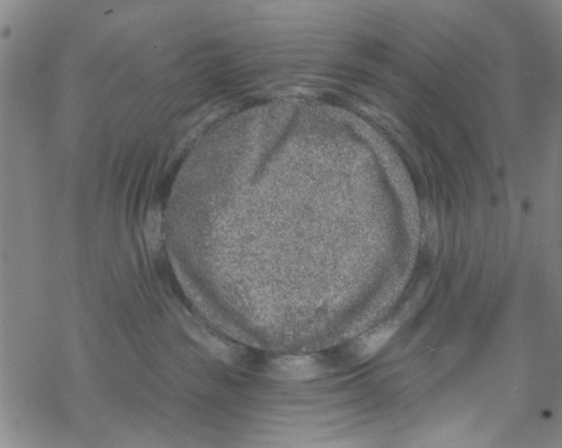 X0000067920189200605112018